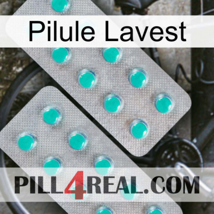 Lavest Pill 29